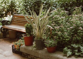 Unlock Your Garden's Potential: The Essential Gardening Tools Guide