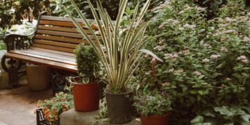 Unlock Your Garden's Potential: The Essential Gardening Tools Guide