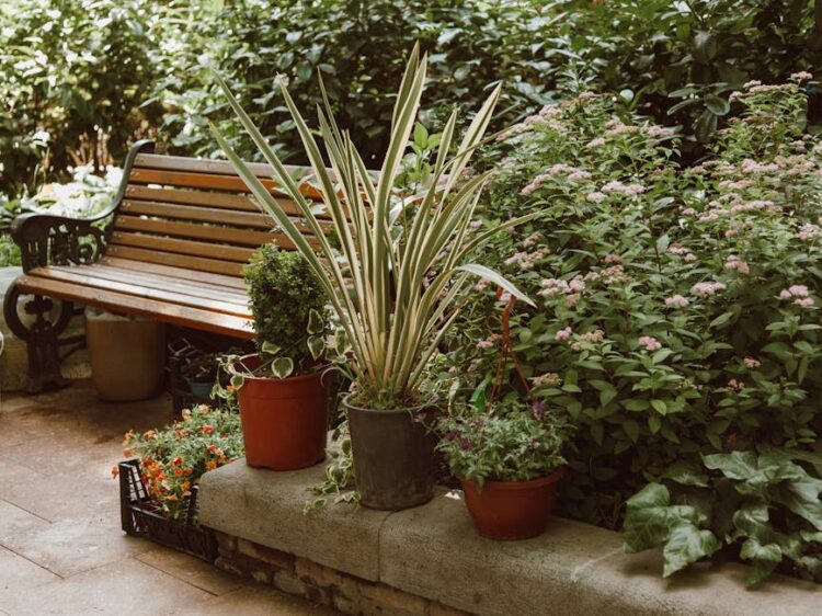 Unlock Your Garden's Potential: The Essential Gardening Tools Guide